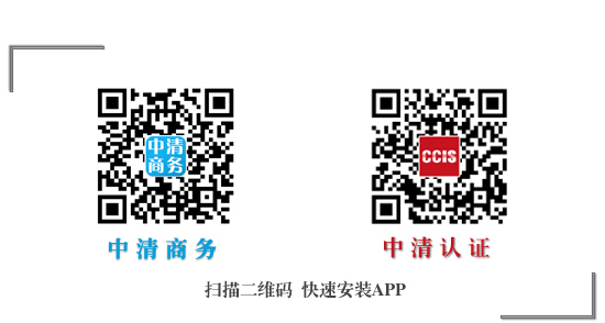 收入证明_清理收入